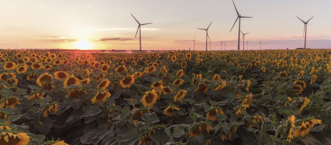 NachhaltigkeitEnergie